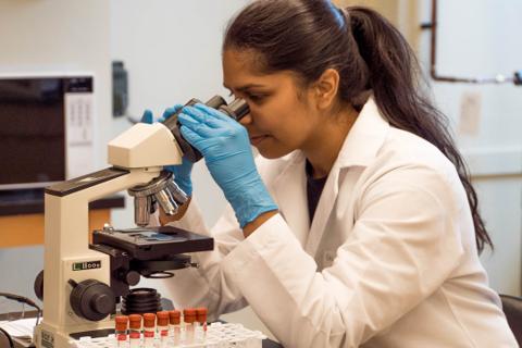 Lab-testing