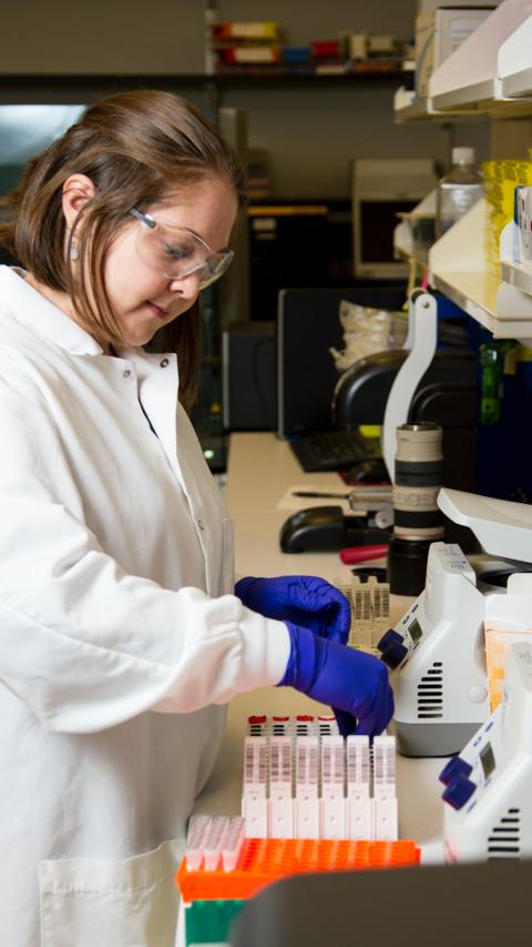 working in lab