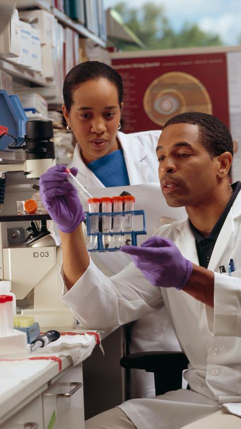 pathology lab workers